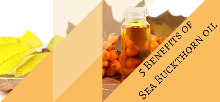 5 Benefits of Sea Buckthorn oil