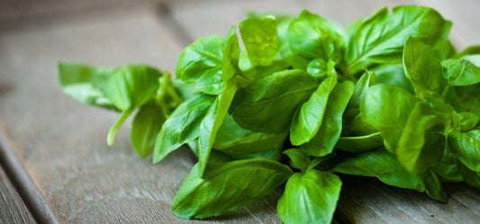 4 Reasons Why Basil Leaves Are Good For You