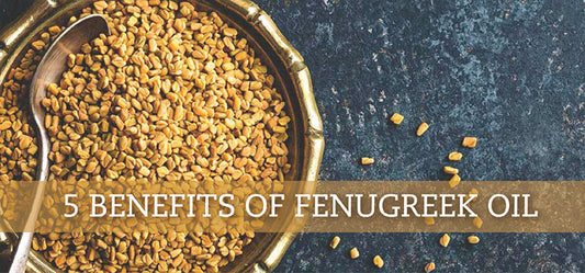 5 Benefits of Fenugreek Oil