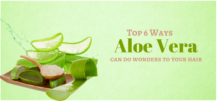 Top 6 Ways Aloe Vera Can Do Wonders To Your Hair!